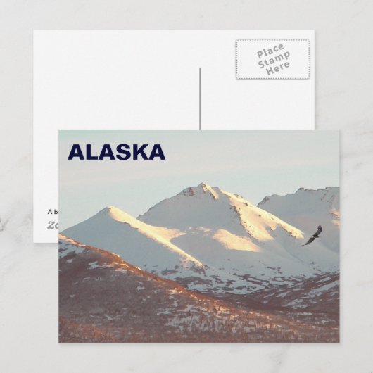 Winter Eagle Briefkaart (Voorkant / Achterkant)