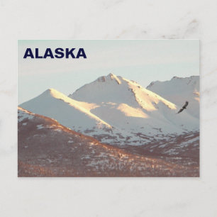 Winter Eagle Briefkaart