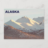 Winter Eagle Briefkaart (Voorkant)