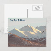 Winter Eagle Briefkaart (Voorkant / Achterkant)