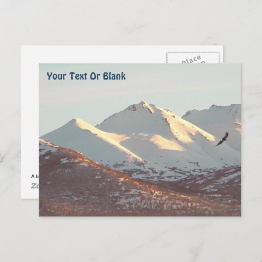 Winter Eagle Briefkaart (Voorkant / Achterkant)