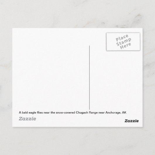 Winter Eagle Briefkaart (Achterkant)