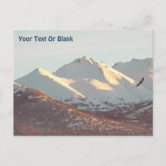 Winter Eagle Briefkaart (Voorkant)