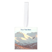 Winter Eagle Decoratie (Voorkant)