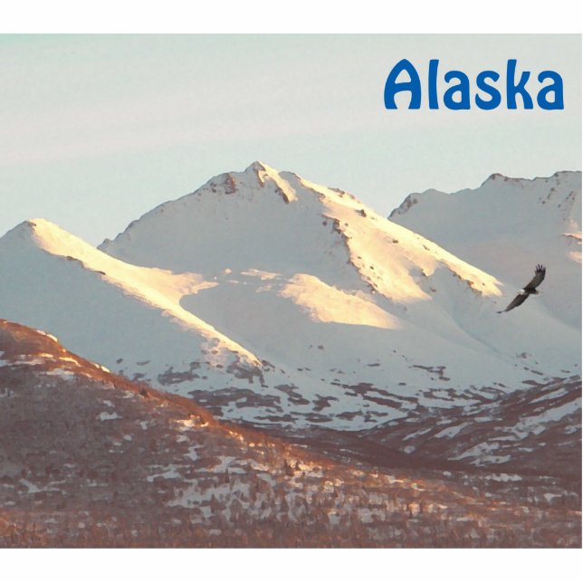 Winter Eagle en Mountains Fotobeeldje Magneet (Voorkant)