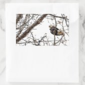 Winter Eagle Sticker (Tas)