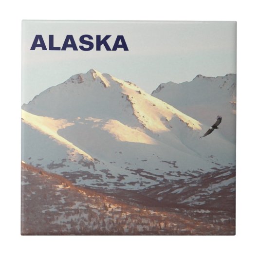 Winter Eagle Tegeltje (Voorkant)