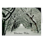 Winter en kerstwensen (Voorkant Horizontaal)