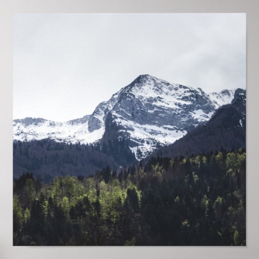 Winter en lente - groene bomen en sneeuwberg poster (Voorkant)