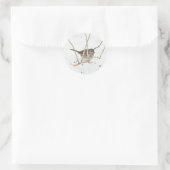 Winter en Sparrow Ronde Sticker (Tas)