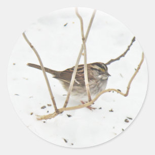 Winter en Sparrow Ronde Sticker