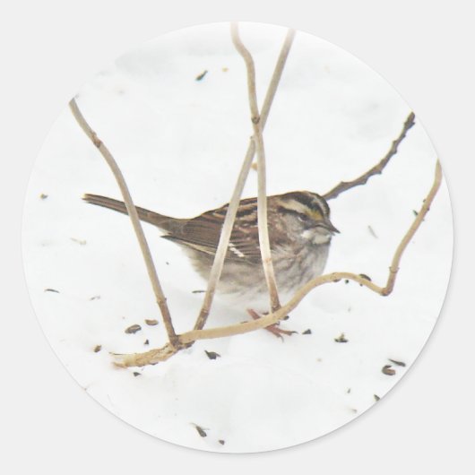 Winter en Sparrow Ronde Sticker (Voorkant)