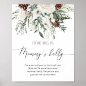 Winter evergreen hoe groot is mama's buik spel poster (Voorkant)
