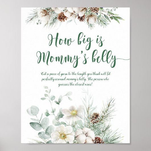 Winter evergreen hoe groot is mama's buik spel poster (Voorkant)