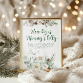 Winter evergreen hoe groot is mama's buik spel poster
