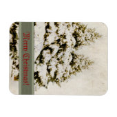 Winter Evergreens  Magneet (Horizontaal)