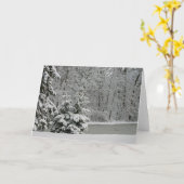 Winter Evergreens Notecard Kaart (Gele Bloem)