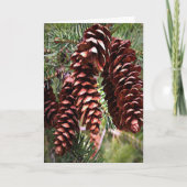 Winter Feestdagen Pinecones KerstEvergreen (Voorkant)