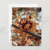 Winter Fire Holiday Briefkaart (Voorkant / Achterkant)