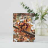 Winter Fire Holiday Briefkaart (Staand voorkant)