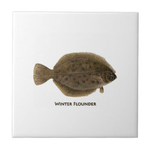 Winter Flounder Tegeltje