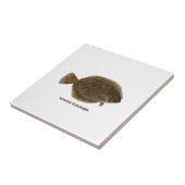 Winter Flounder Tegeltje (Zijkant)
