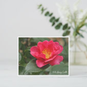 Winter flowering Camellia Briefkaart (Staand voorkant)