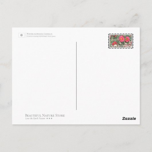 Winter flowering Camellia Briefkaart (Achterkant)