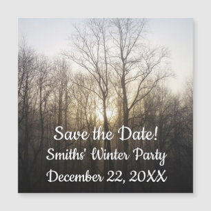 Winter Fog Sunrise Natuur Foto