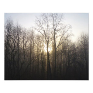 Winter Fog Sunrise Natuur Foto Afdruk