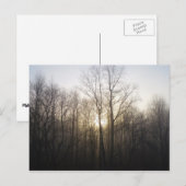 Winter Fog Sunrise Natuur Foto Briefkaart (Voorkant / Achterkant)