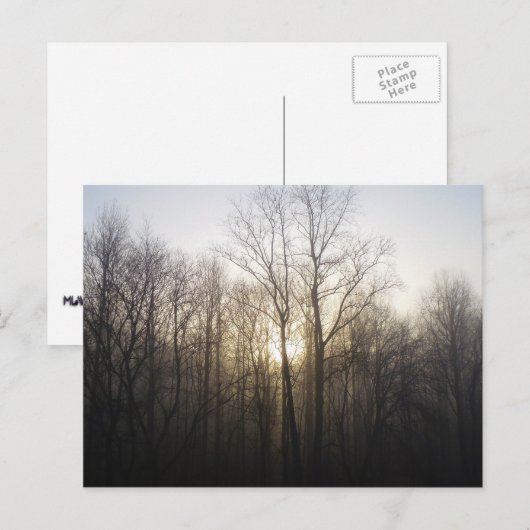 Winter Fog Sunrise Natuur Foto Briefkaart (Voorkant / Achterkant)