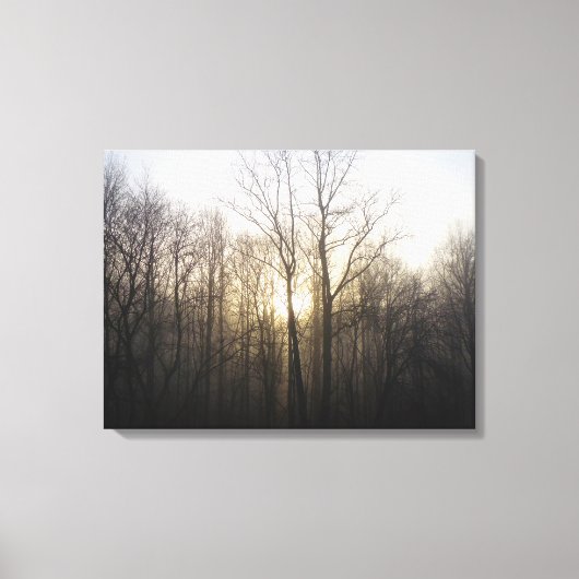 Winter Fog Sunrise Natuur Foto Canvas Afdruk (Voorkant)