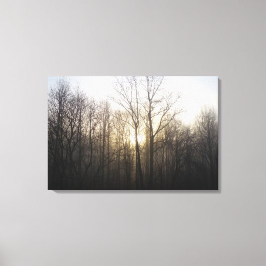 Winter Fog Sunrise Natuur Foto Canvas Afdruk (Voorkant)