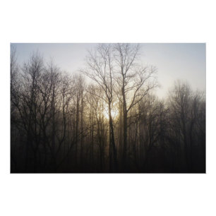 Winter Fog Sunrise Natuur Foto Perfect Poster