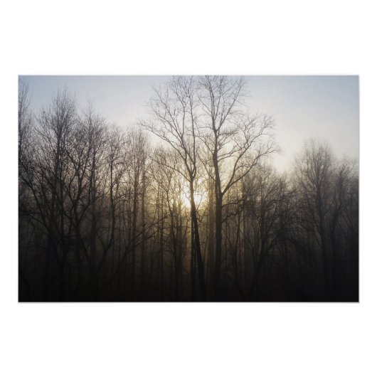 Winter Fog Sunrise Natuur Foto Perfect Poster (Voorkant)