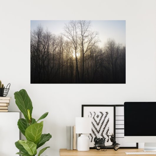 Winter Fog Sunrise Natuur Foto Poster (Thuiskantoor)