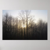 Winter Fog Sunrise Natuur Foto Poster (Voorkant)