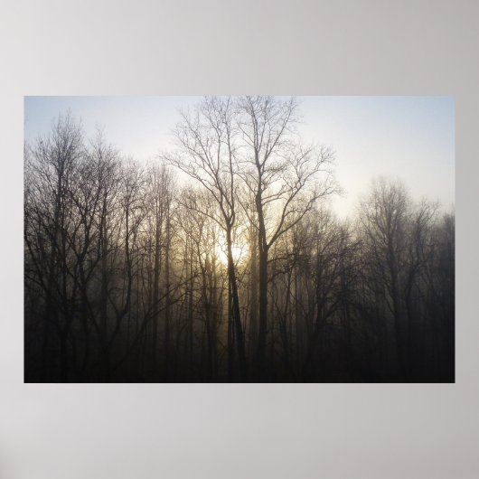 Winter Fog Sunrise Natuur Foto Poster (Voorkant)