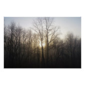 Winter Fog Sunrise Natuur Foto Poster (Voorkant)