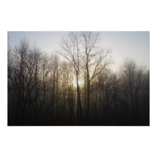 Winter Fog Sunrise Natuur Foto Poster