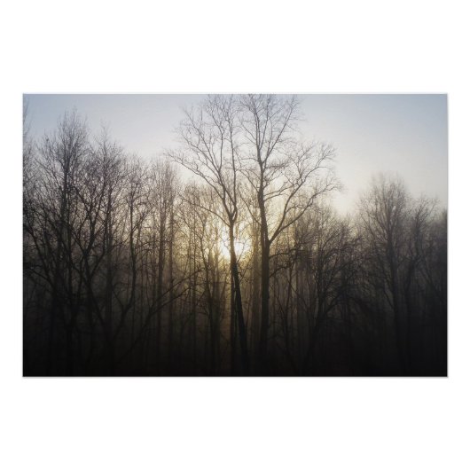 Winter Fog Sunrise Natuur Foto Poster (Voorkant)
