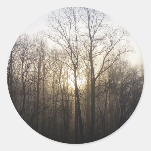 Winter Fog Sunrise Natuur Foto Ronde Sticker (Voorkant)