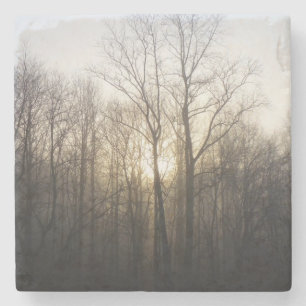 Winter Fog Sunrise Natuur Foto Stenen Onderzetter