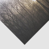 Winter Fog Sunrise Natuur Foto Tissuepapier (Detail)