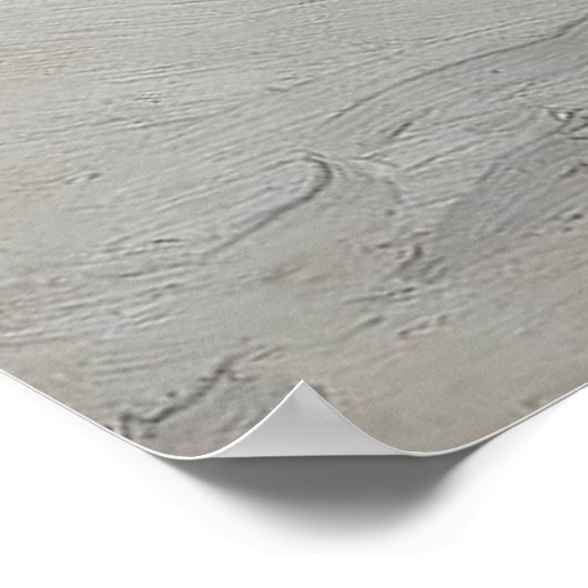 Winter Forest Landscape Poster (Hoek)