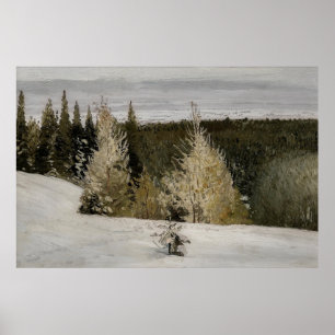 Winter Forest Landscape Poster