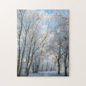 Winter Forest Path Walk, 252 stuks puzzel Legpuzzel (Verticaal)