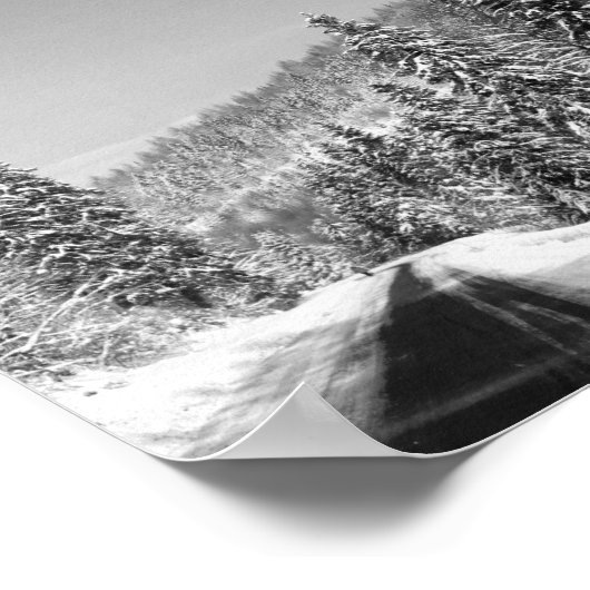 Winter Forest Road Poster (Hoek)