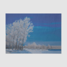 Winter Forest Trees Snow Blue Sky Natuur